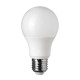 Bec LED E27 A60 12W Plastic 5 Ani Garantie Lumina Rece, Lumina Neutra, Lumina Calda